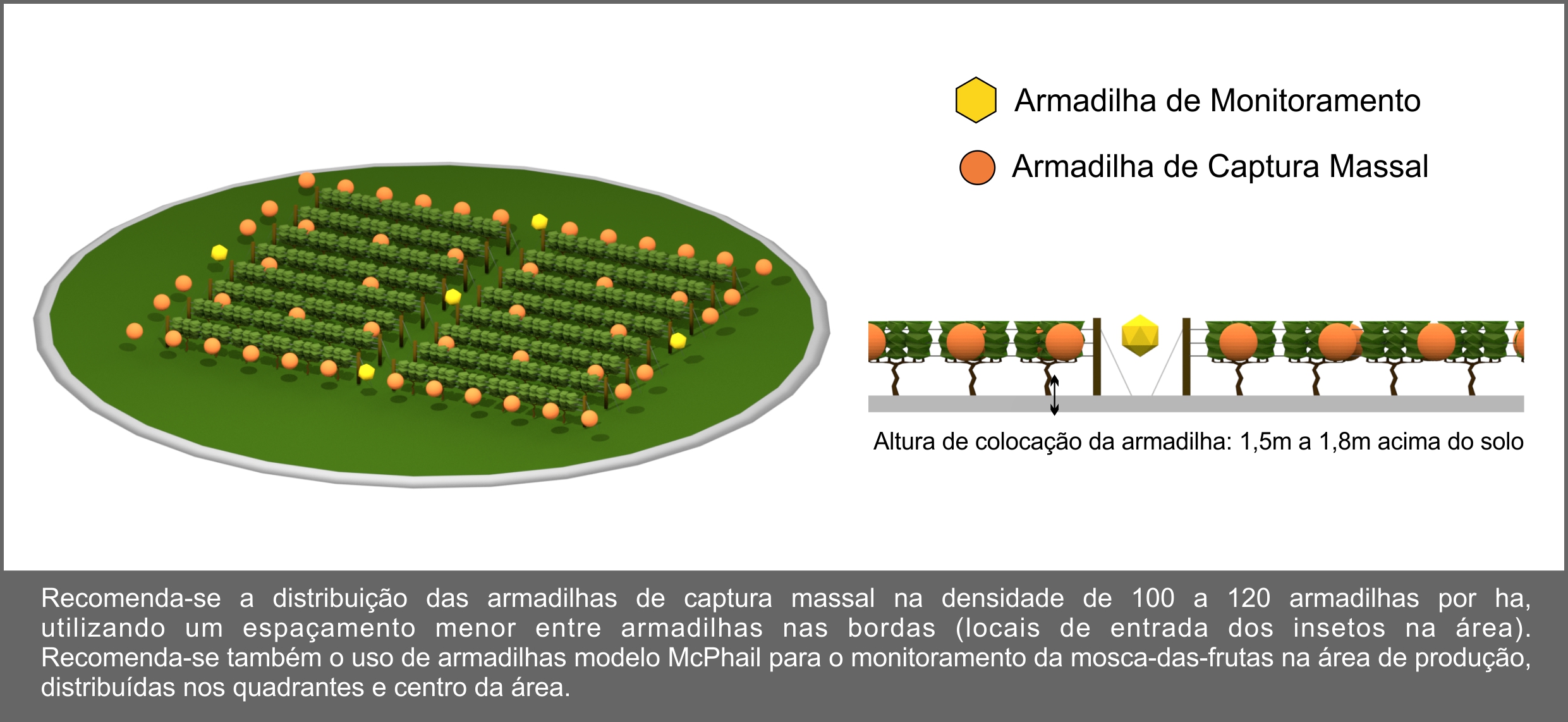 instalaçao Armadilhas