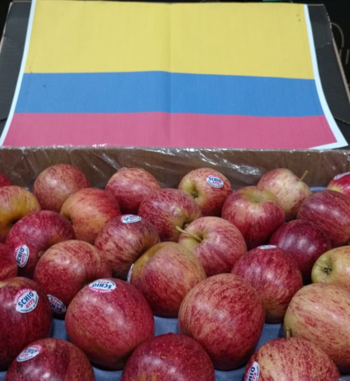 Brasil recebe sinal verde para exportar maçãs para a Colômbia