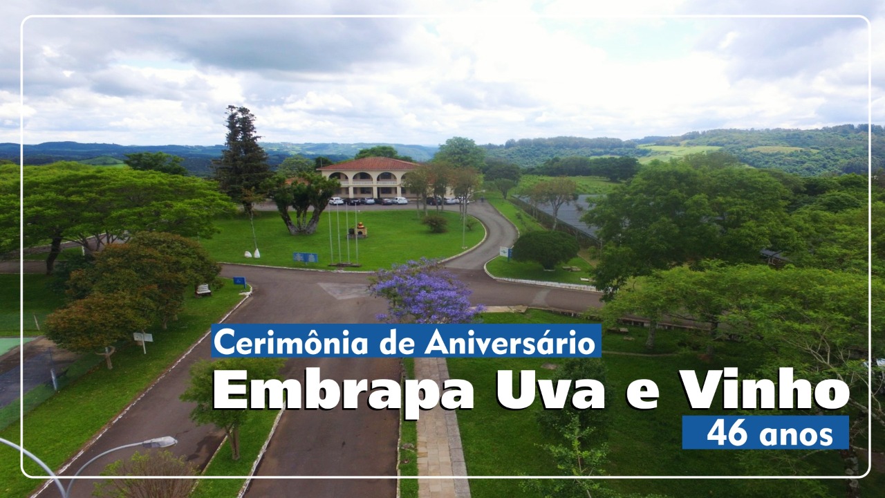 Embrapa Uva e Vinho comemora 46 anos nesta quinta-feira (26) em evento virtual