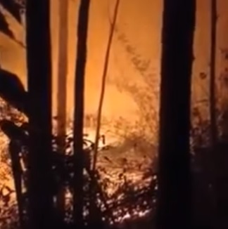 Bombeiros combatem incêndio em vegetação na zona rural de Cotiporã