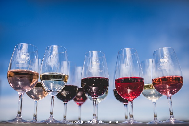Avaliação Nacional de Vinhos: inscrições de amostras para as vinícolas abrem no dia 11