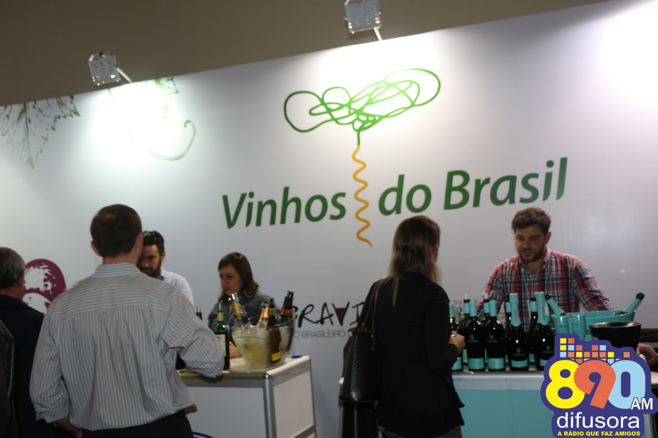 Vídeo: Confira um balanço da participação dos vinhos do Brasil no Expovinis 2017