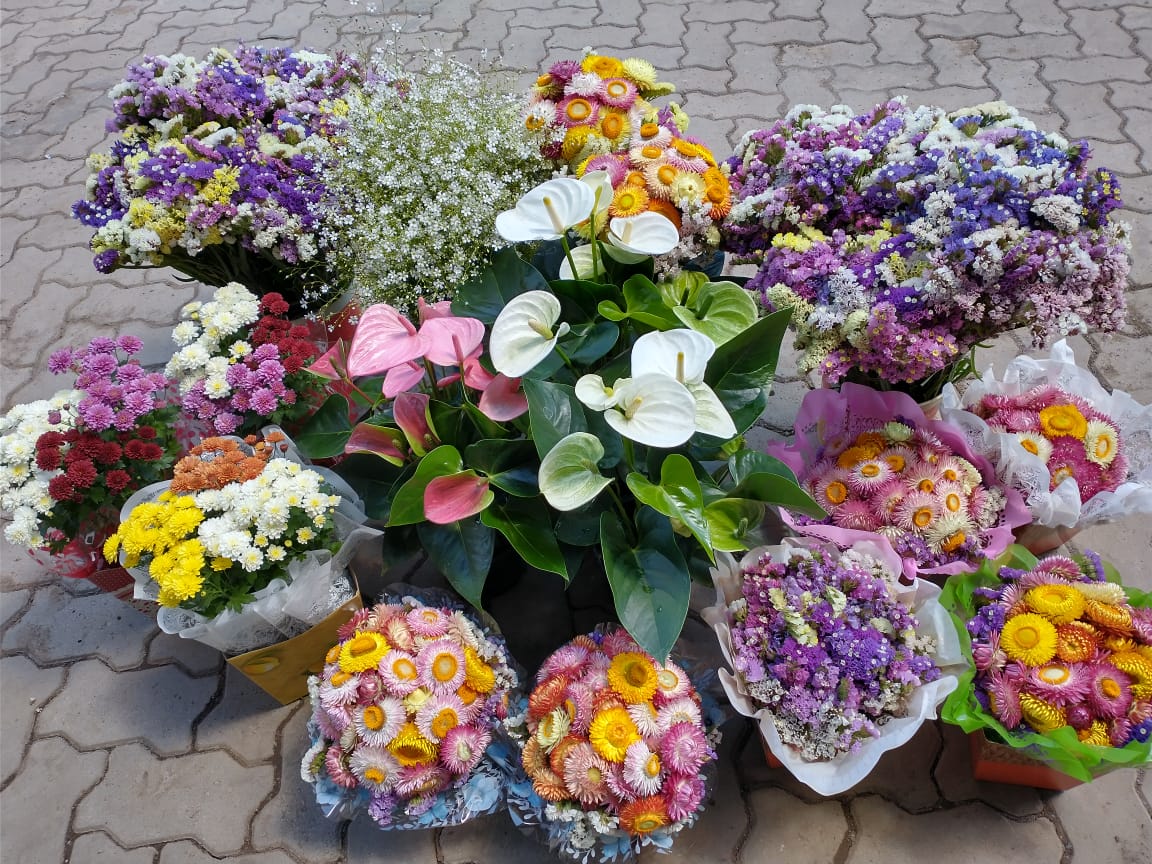 Feira das Flores será no dia 1º de novembro na Praça Centenário, em Bento