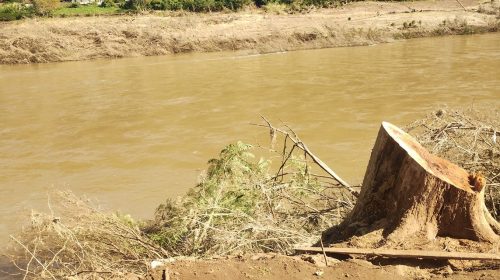 Prefeitura de Santa Tereza afirma que cortes de árvores às margens do Rio Taquari tiveram respaldo técnico de geólogo