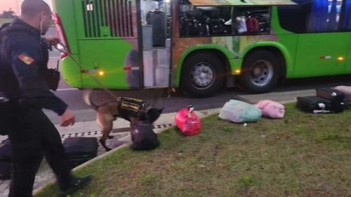 EM OPERAÇÃO PARA TREINAMENTO DE CÃES FAREJADORES, PRF PRENDE TRÊS PESSOAS EM ÔNIBUS NA FREEWAY