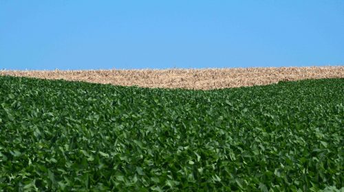 La Niña fraca deve marcar clima nos próximos três meses