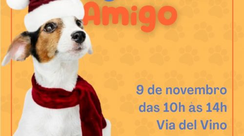 Bento Pet: feira de adoção ocorre no próximo dia 9, na Via Del Vino