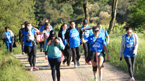 Caminhada em homenagem ao Centenário do Tacchini reúne 150 pessoas no interior de Bento Gonçalves