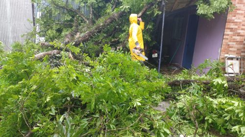 Prefeitura de Bento trabalha para solucionar os problemas causados pelo vento e chuva