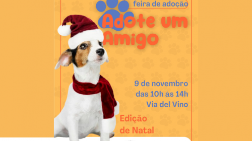 Feira de adoção ocorre neste sábado, dia 9, na Via Del Vino