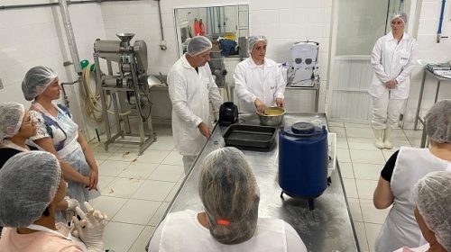 Secretaria de Educação promove curso de panificação para merendeiras em Bento Gonçalves