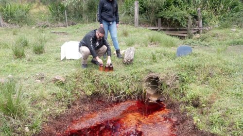 Arpa e Polícia Civil flagram despejo de combustíveis em arroio no interior de Carlos Barbosa