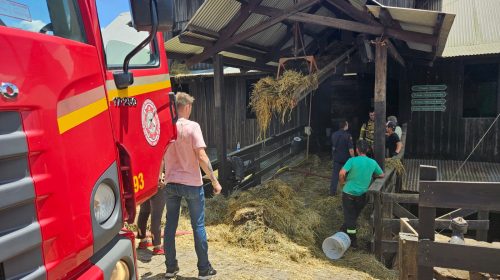 Incêndio atinge estabelecimento turístico no Caminhos de Pedra, em Bento