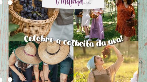 Bento em vindima celebra a colheita da uva de 11 de janeiro a 23 de março