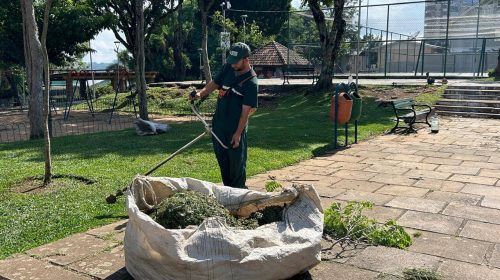 SMMAM: equipe de jardinagem reforça ações de manutenção das praças de Bento