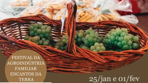 Bento em Vindima: Festival da Agroindústria Familiar Encantos da Terra inicia no próximo sábado