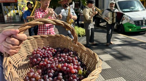 Bento em Vindima: cortejo musical e distribuição de uva ocorre na Via del Vino