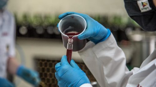 Laboratório de Referência Enológica do RS recebe primeiras uvas para a produção de vinhos em 2025