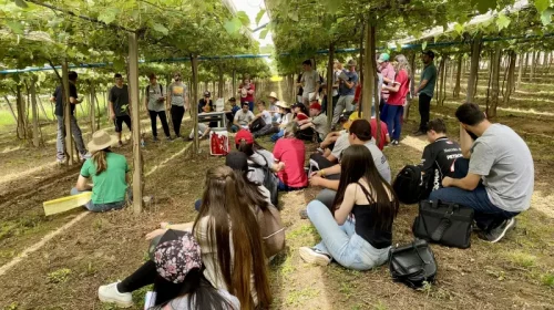 Inscrições para bolsa de estudo na Escola Família Agrícola estão abertas