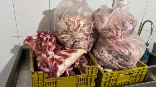 Comerciante é preso por crime ambiental e uma tonelada de alimentos impróprios é apreendida em fiscalização do MPRS