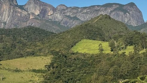 ABE recebe inscrições de artigos para a Revista Brasileira de Viticultura e Enologia até 4 de abril