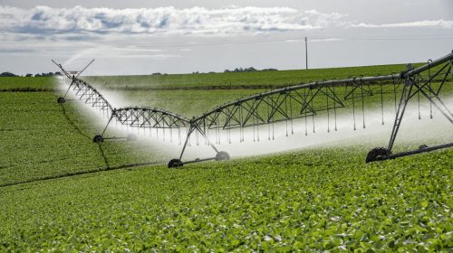 Programa de Irrigação, que vai ajudar na mitigação da estiagem, está com edital aberto para receber projetos