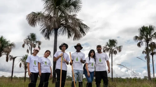 Olimpíada desafia estudantes a restaurar a natureza