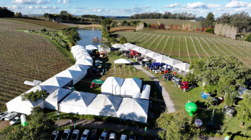 Vitis Aurora 2025 supera 4 mil visitantes e bate recorde de expositores
