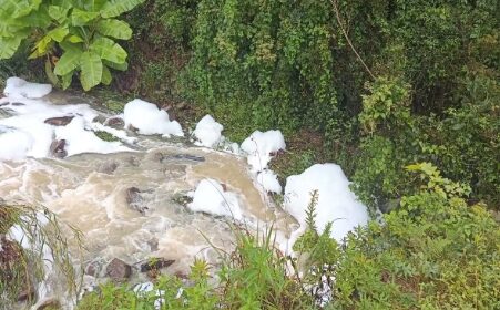 SMMAM fiscaliza surgimento de espuma no arroio Pedrinho