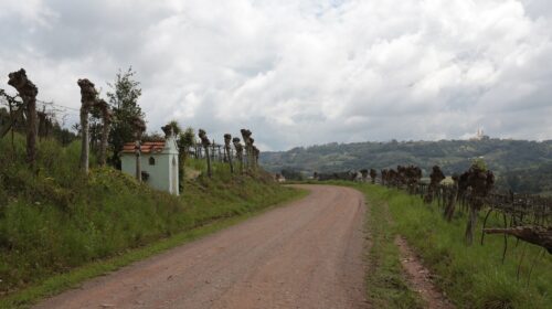 Monte Belo do Sul sedia inauguração da sinalização de parte da Rota dos Capitéis