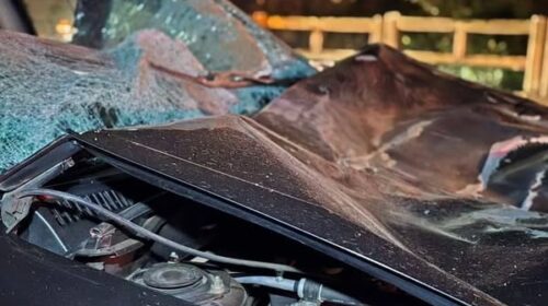 COLISÃO COM CAVALO DEIXA VEÍCULO DESTRUÍDO E HOMEM FERIDO NA ERS-135, EM PASSO FUNDO