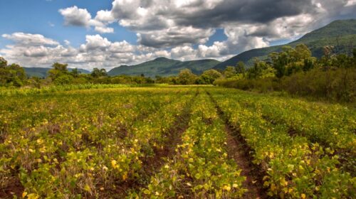 Pouca chuva e temperaturas baixas marcaram o mês de abril