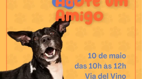 Feira de adoção de animais acontece no próximo sábado