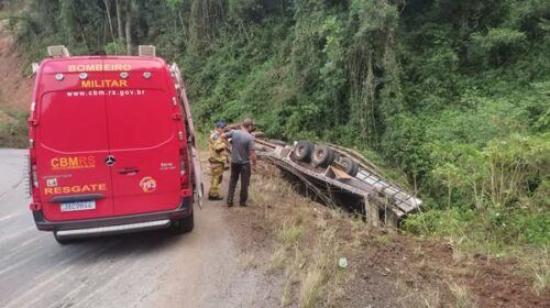 CAMINHÃO CAPOTA E  METADE DOS ANIMAIS TRANSPORTADOS MORRE EM ACIDENTE NA ERS-441, EM GUAPORÉ