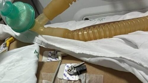 CRIANÇA É INTERNADA EM COMA E PAIS SÃO PRESOS POR SUSPEITA DE ESTUPRO E MAUS-TRATOS, EM SÃO GABRIEL