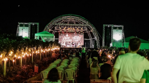 Natal nos Vinhedos chega à quarta edição reafirmando propósito no turismo de experiências