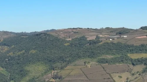 1º de maio: 1 ano de resiliência em Bento Gonçalves