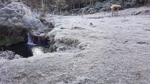 Inverno será típico no Rio Grande do Sul, com frentes frias
