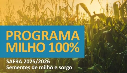 Secretaria de Agricultura abre inscrições para o Programa Milho 100%
