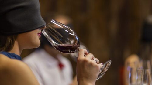 Dia do Vinho Brasileiro se transforma em mês de descontos no Complexo Enoturístico da Garibaldi