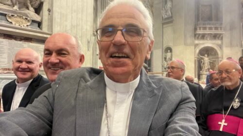 Dom José Gislon e Dom Alessandro Ruffinoni participam do Jubileu dos Bispos em Roma e encontro com o Papa Leão