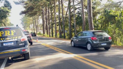 IDENTIFICADO HOMEM QUE MORREU ATROPELADO NA BR 470, EM NOVA PRATA