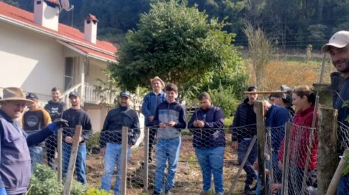Jovens Viticultores de Santa Tereza aprofundam conhecimentos práticos em destaque