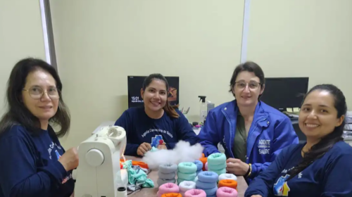 Agentes Comunitárias de Saúde, da ESF Santa Helena I e II, em Bento, criam projeto que auxilia na amamentação
