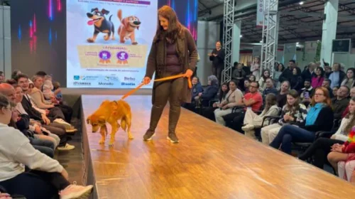 Animais do Bento Pet desfilam durante a Expobento e Fenavinho