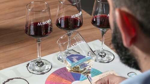 Vinícola Aurora promove degustação harmonizada de vinhos e queijos no mês dos namorados
