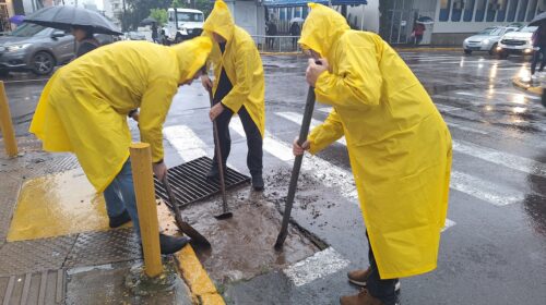 Servidores da Câmara Municipal atuam em ações de limpeza e apoio à população durante as chuvas