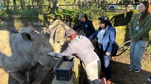 Parque Zoológico reabre aos visitantes com expectativa de público intenso