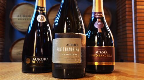 Cooperativa Vinícola Aurora soma 45 medalhas até julho e se aproxima das mil premiações