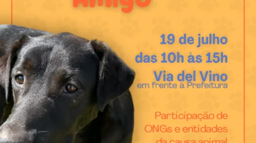 Feira de adoção de animais ocorre no dia 19 em Bento